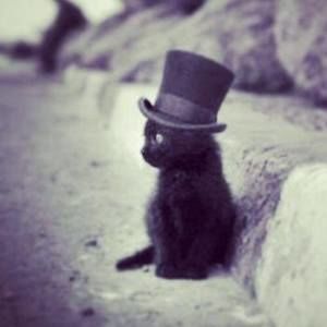 Meet your Posher, Carolina